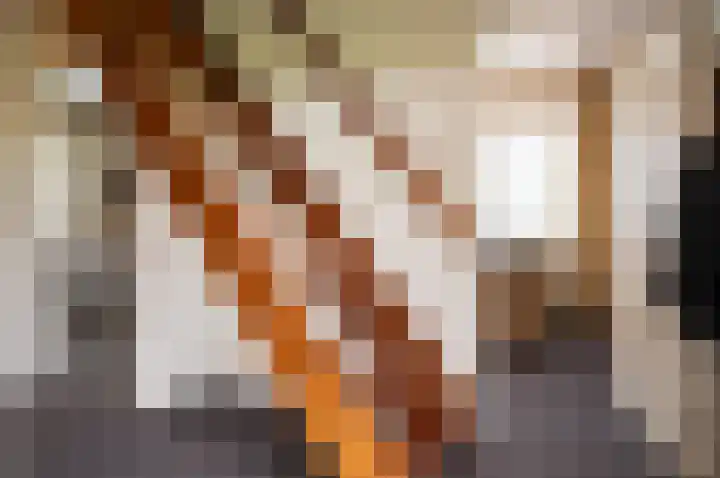 Bakkersteeg 7 Almen thumbnail 17