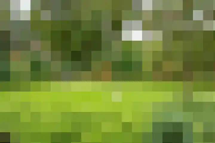 Bakkersteeg 7 Almen thumbnail 41