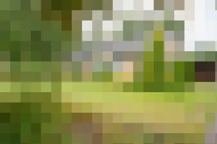 Bakkersteeg 7 Almen thumbnail 7