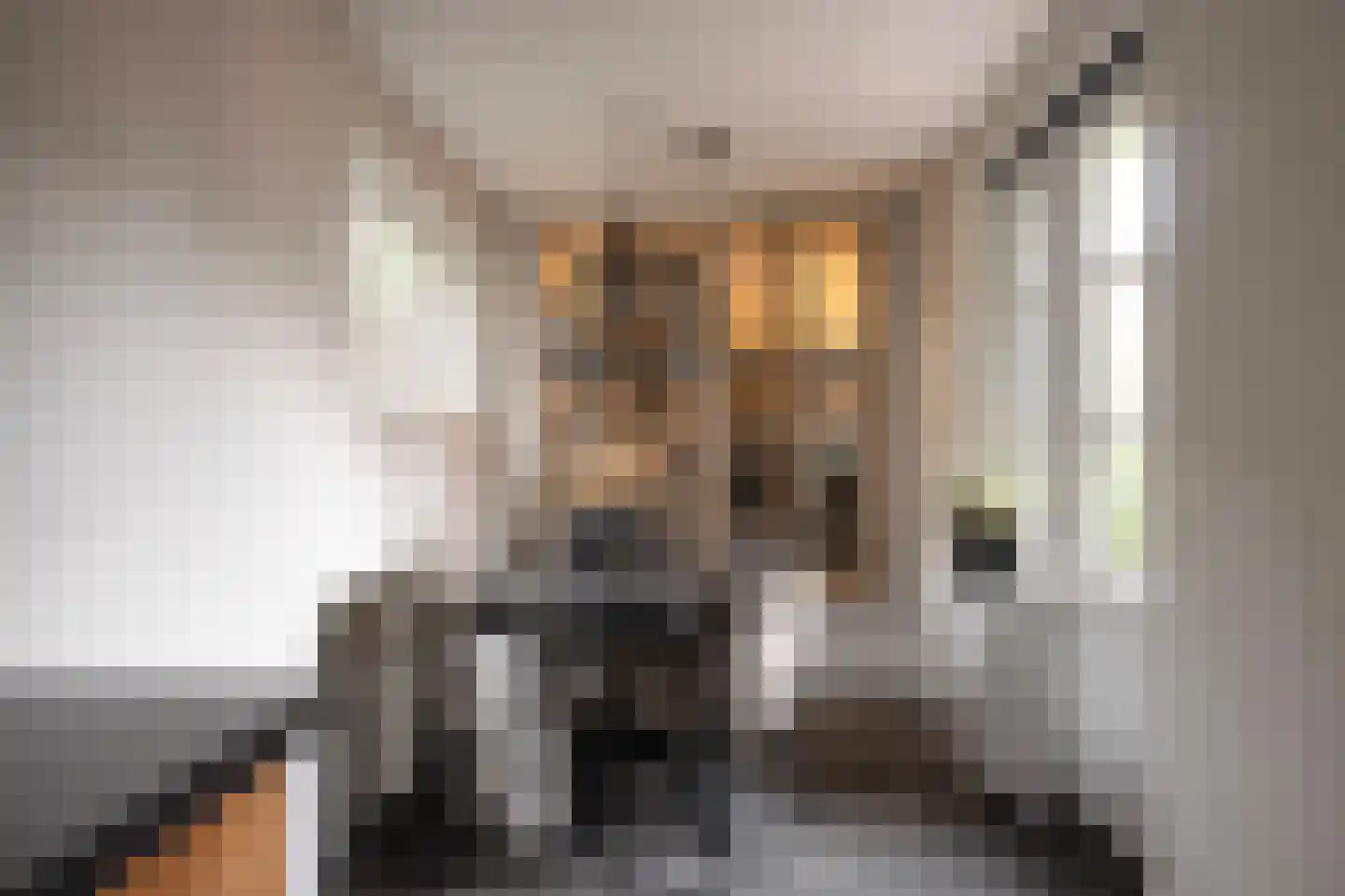 Bakkerstraat 16 Putten thumbnail 18