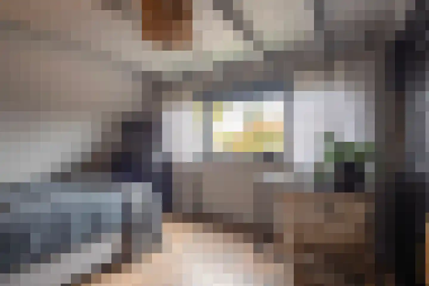 Bakkerstraat 16 Putten thumbnail 20