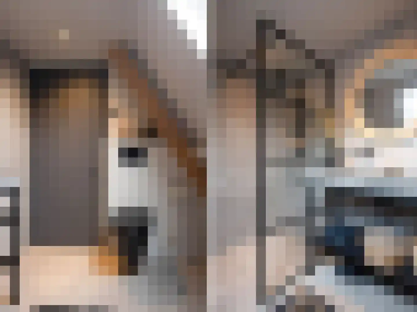 Bakkerstraat 16 Putten thumbnail 23