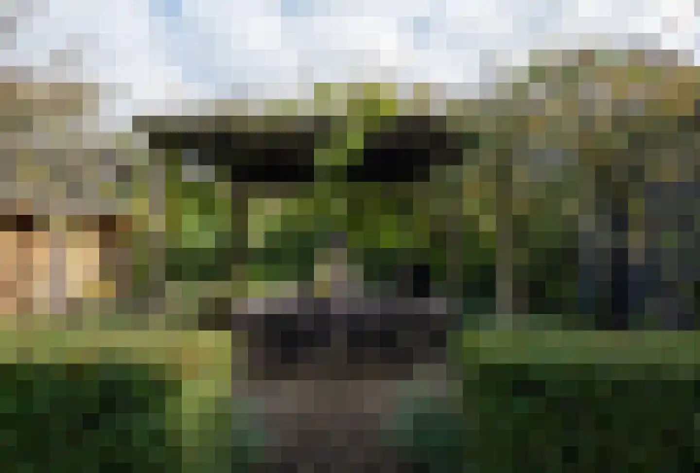 Bakkerstraat 16 Putten thumbnail 32