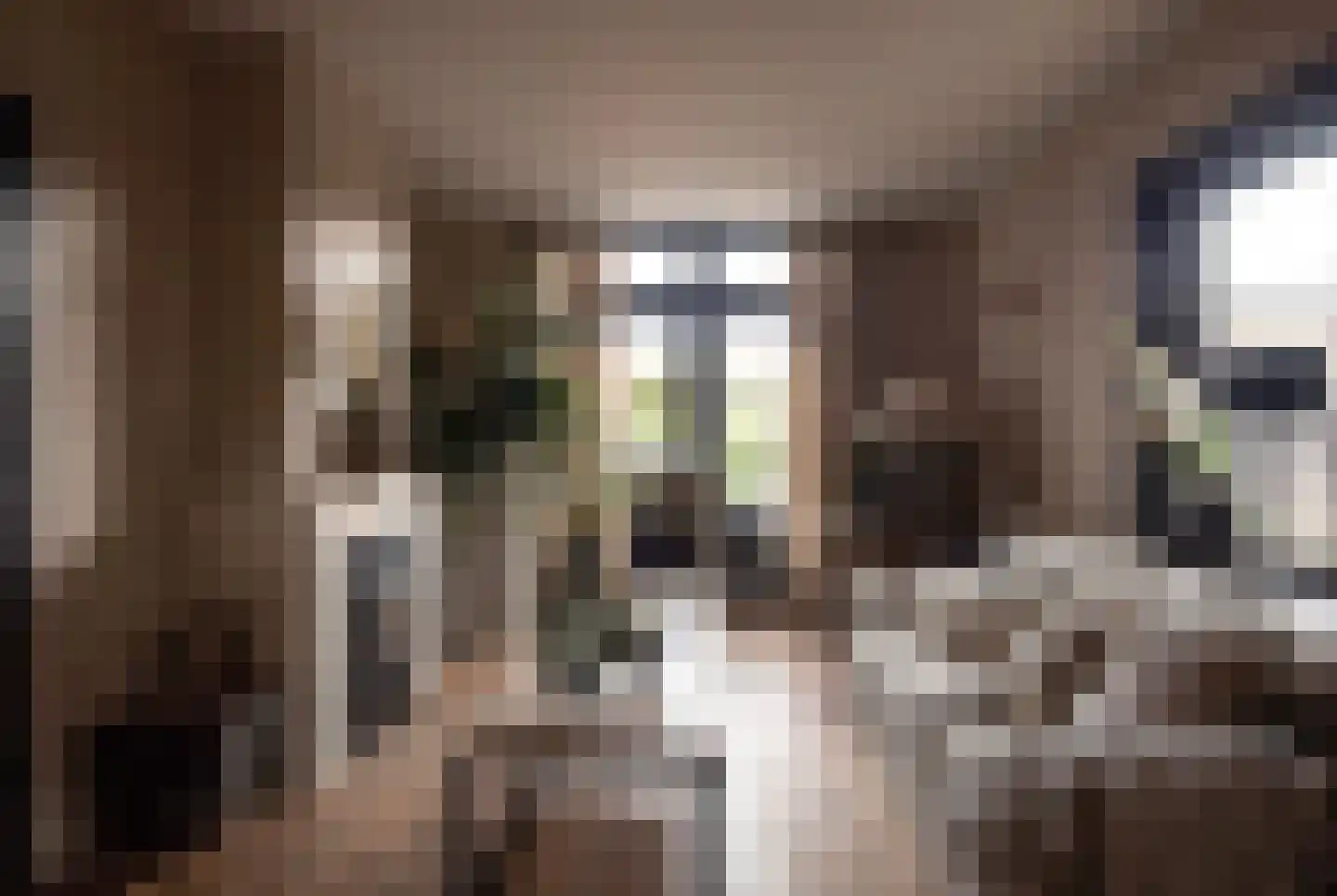 Bakkerstraat 16 Putten thumbnail 7