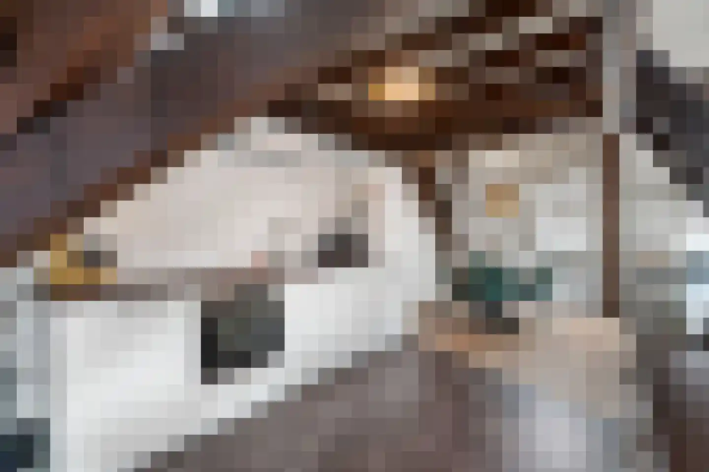 Bakkerstraat 62 4 Arnhem thumbnail 10