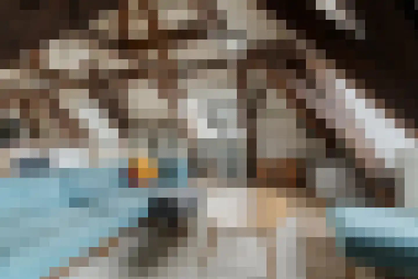 Bakkerstraat 62 4 Arnhem thumbnail 7
