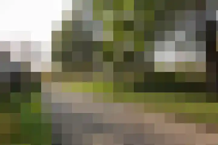 Bakkersweg 12 Heiloo thumbnail 50