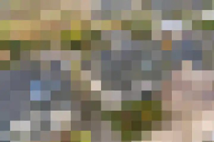 Bakkersweg 12 Heiloo thumbnail 54