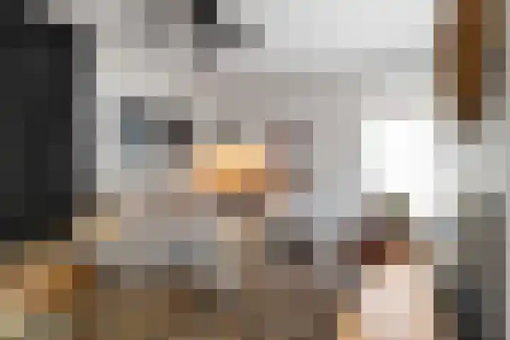 Bakkersweg 16 Heiloo thumbnail 12