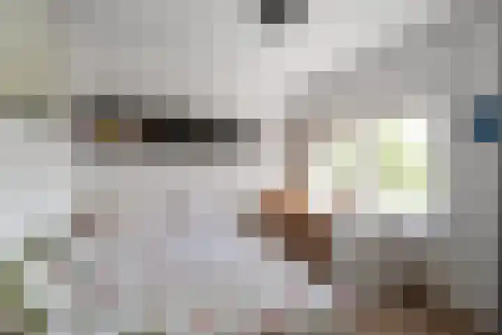 Bakkersweg 16 Heiloo thumbnail 22
