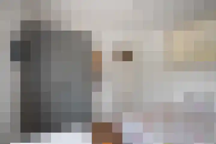 Bakkersweg 16 Heiloo thumbnail 23
