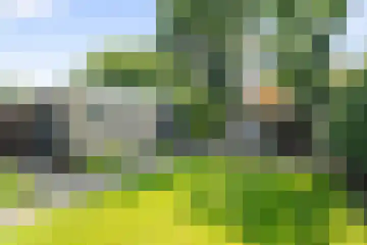 Bakkersweg 16 Heiloo thumbnail 33