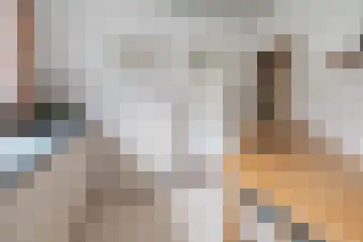 Bakkersweg 30 Maarn thumbnail 12