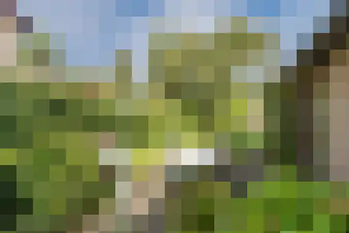 Bakkersweg 30 Maarn thumbnail 35