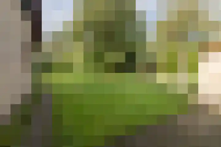 Bakkersweg 30 Maarn thumbnail 36