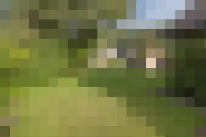 Bakkersweg 30 Maarn thumbnail 37