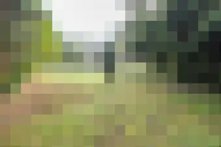 Bakkersweg 30 Maarn thumbnail 41