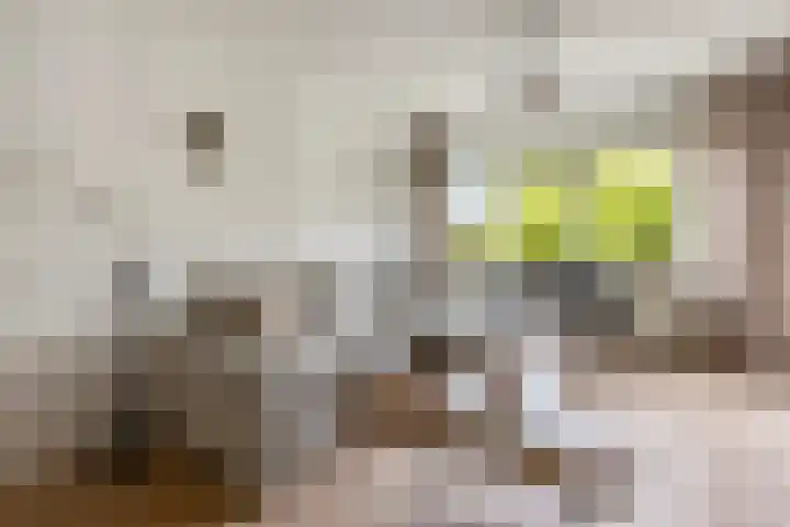 Bakkumstraat 9 Amsterdam thumbnail 11