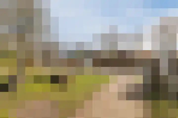 Bakovensweg 1 Bourtange thumbnail 43