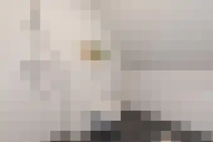 Bakshoeve 8 Helmond thumbnail 22