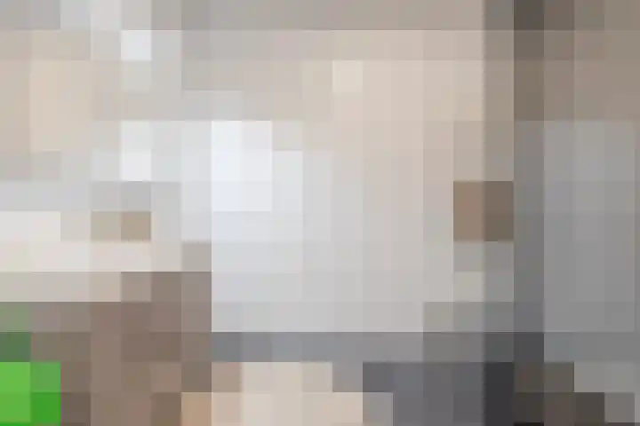 Bakshoeve 8 Helmond thumbnail 34