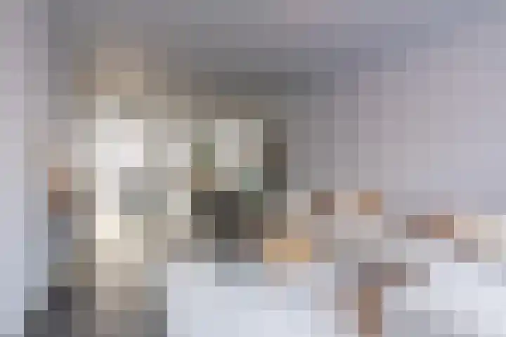 Bakshoeve 8 Helmond thumbnail 6