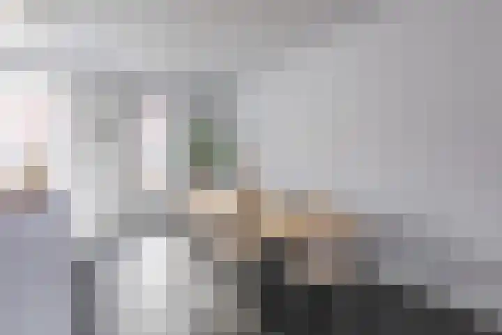 Bakshoeve 8 Helmond thumbnail 8