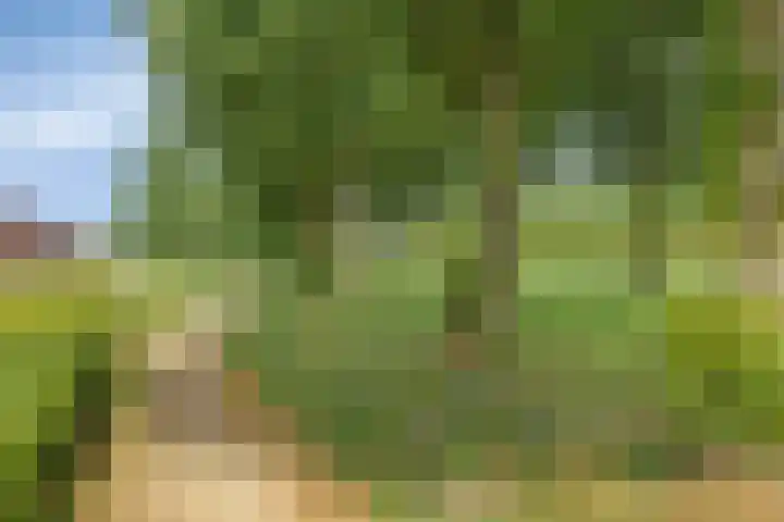 Baksteen 27 Dronten thumbnail 36
