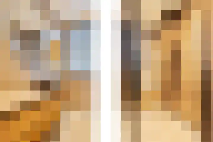 Baksteen 31 Dronten foto 2