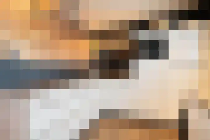 Baksteen 31 Dronten foto 3