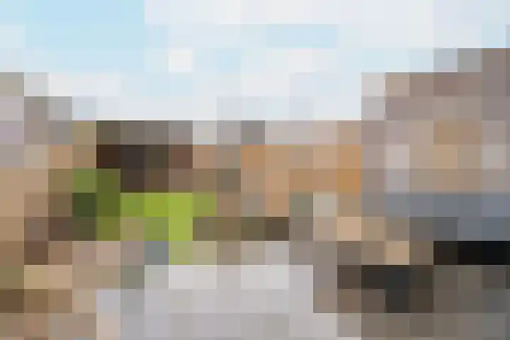 Baksteen 31 Dronten thumbnail 30