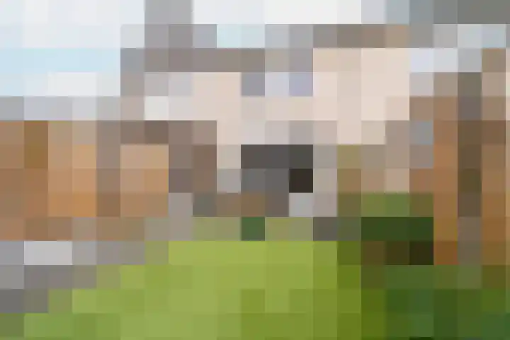 Baksteen 31 Dronten thumbnail 33