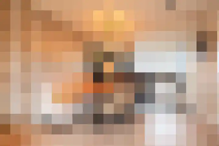 Baksteen 31 Dronten thumbnail 4