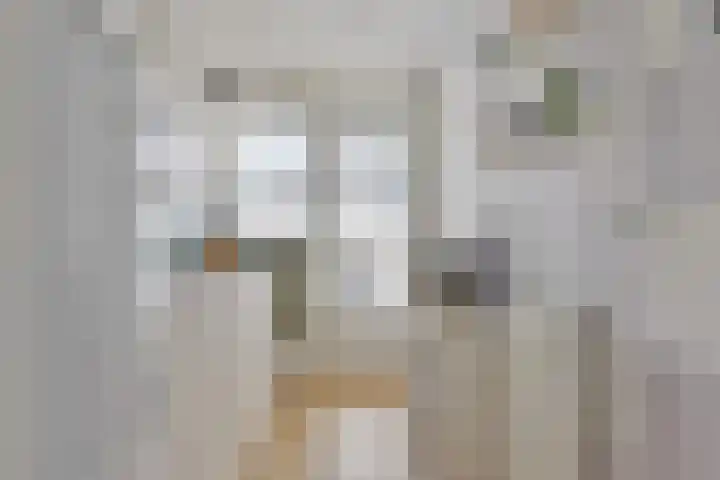 Baksteen 31 Dronten thumbnail 6