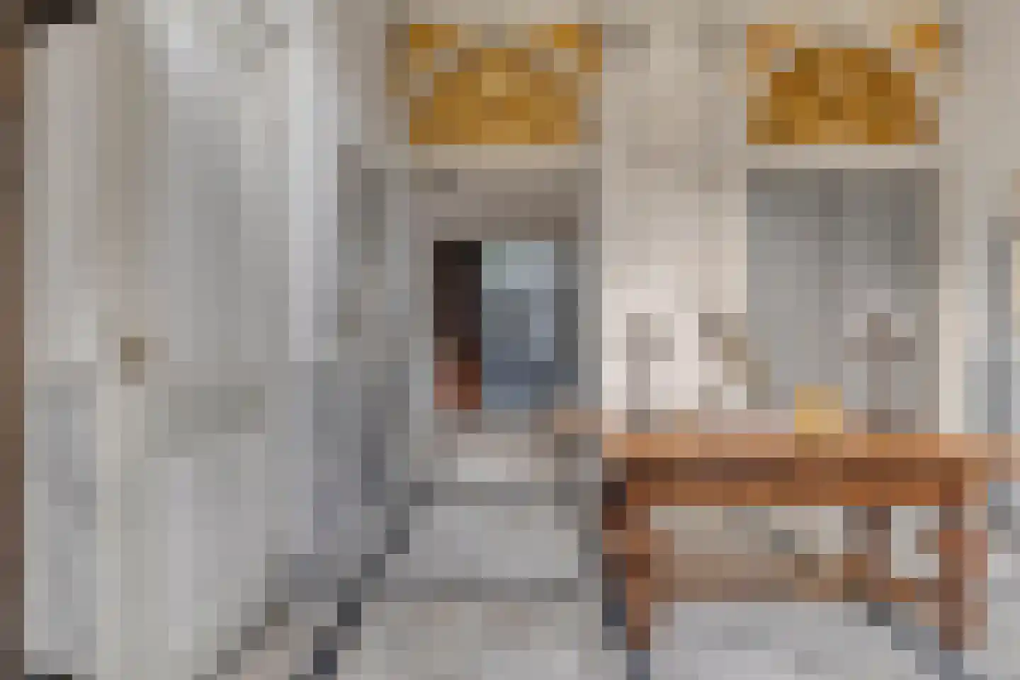 Balans 11 Middelburg thumbnail 4