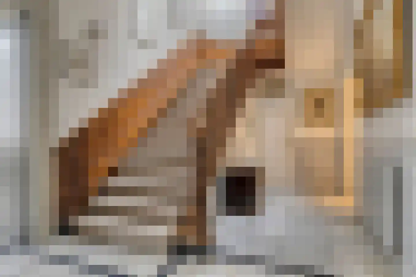 Balans 11 Middelburg thumbnail 5