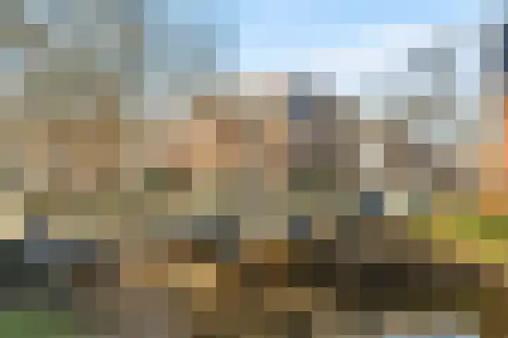 Balfortstraat 1 A Breda thumbnail 32