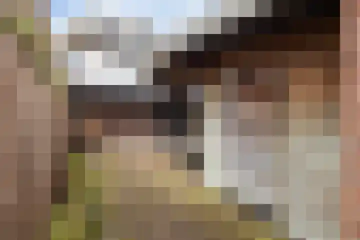 Balingerbrink 116 Emmen thumbnail 31