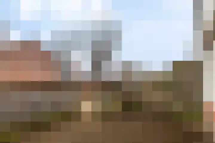 Balingerbrink 116 Emmen thumbnail 34