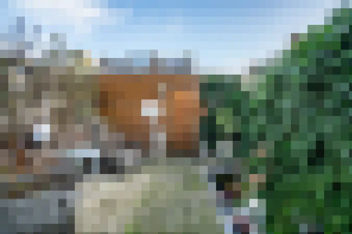 Balistraat 49 Leiden thumbnail 16