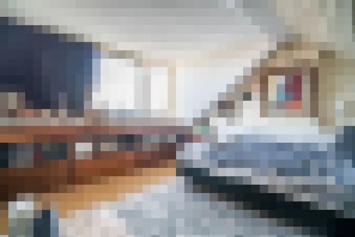 Balistraat 49 Leiden thumbnail 42