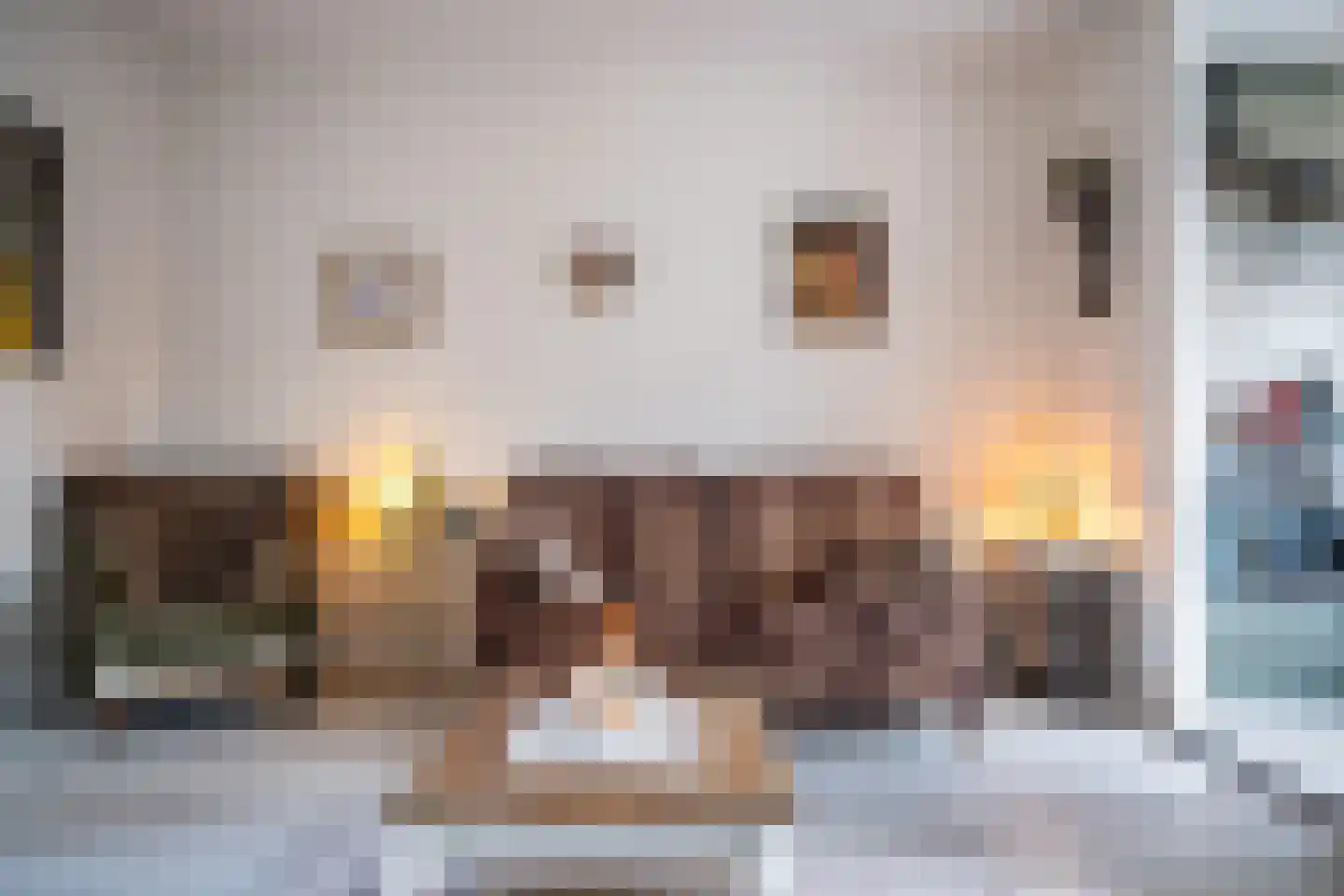 Balistraat 49 Leiden thumbnail 7