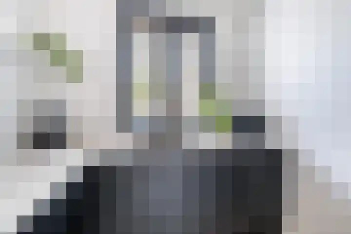 Baljuw 6 Brielle thumbnail 16