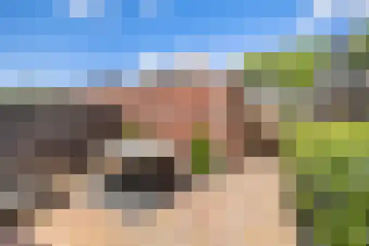 Baljuw 6 Brielle thumbnail 38