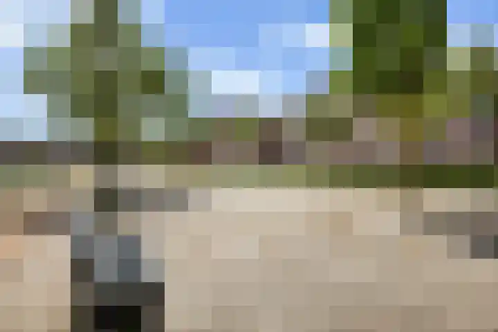 Baljuw 6 Brielle thumbnail 47