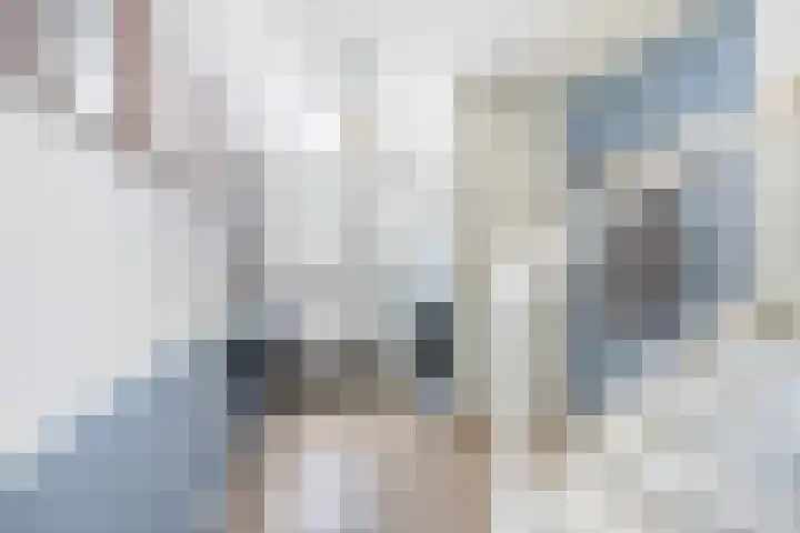 Baljuw 6 Brielle thumbnail 6