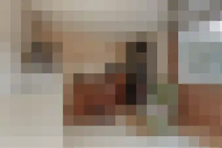 Baljuwstraat 6 Leiderdorp thumbnail 21