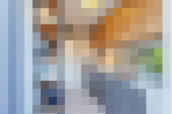 Baljuwstraat 6 Leiderdorp thumbnail 5