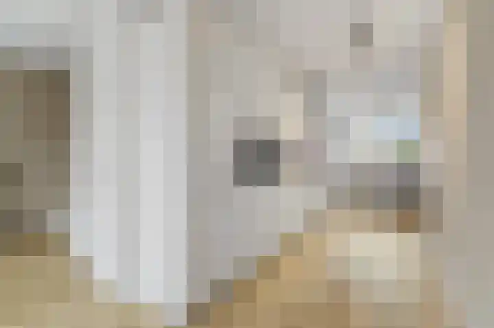 Balkengat 16 Den Hoorn thumbnail 10