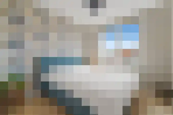 Balkengat 16 Den Hoorn thumbnail 30